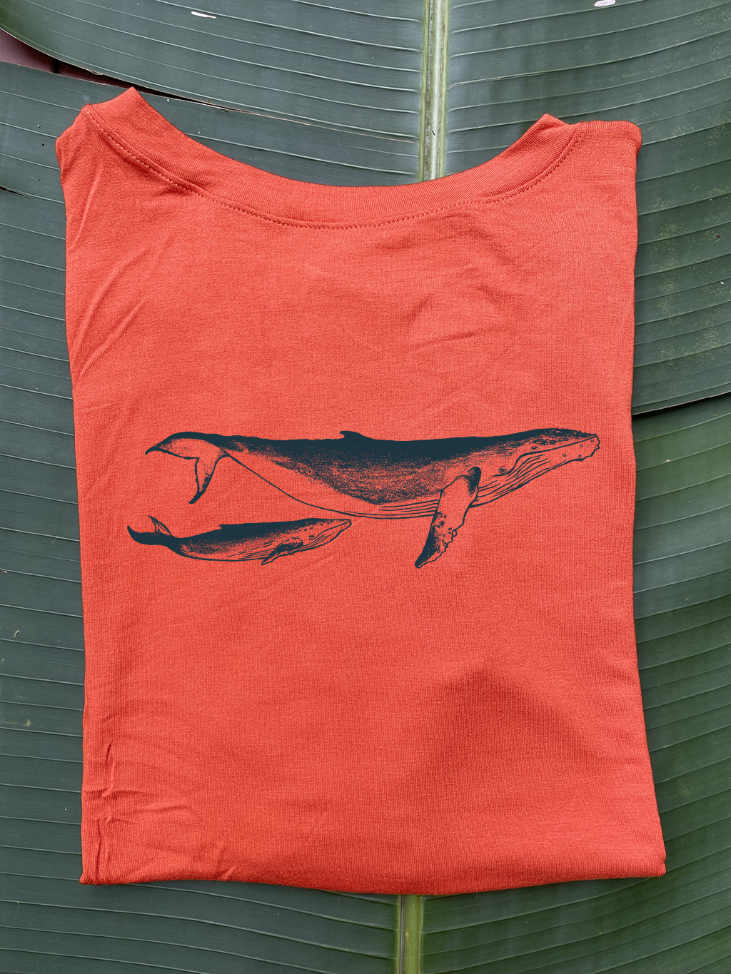 Camiseta Ballena jorobada • Larga brisa • Vaporosas adultos