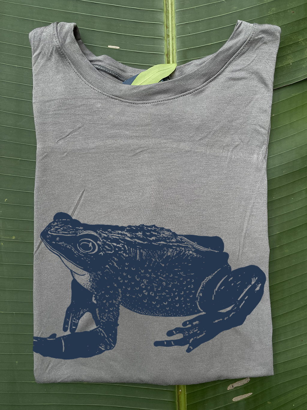 Camiseta Atelopus - Jambato • Brisa • Vaporosas adultos