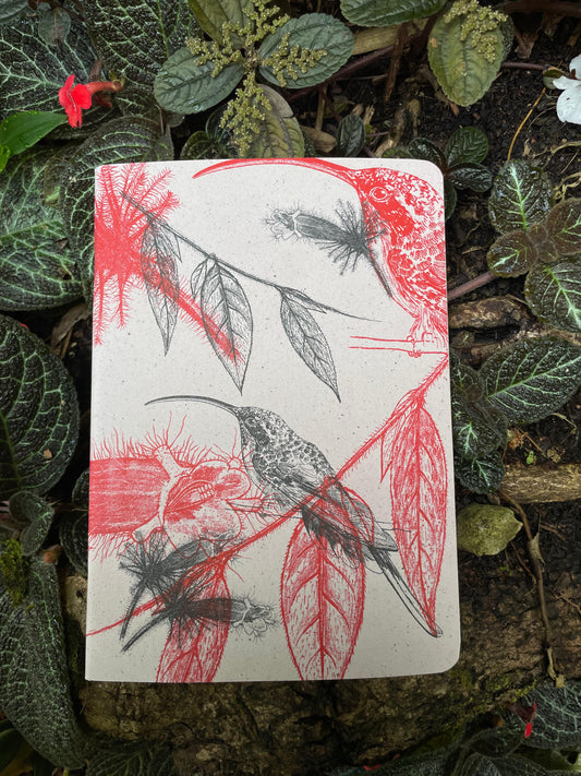 Libreta  Selviflora • Colibrí ermitaño y Flor peludita