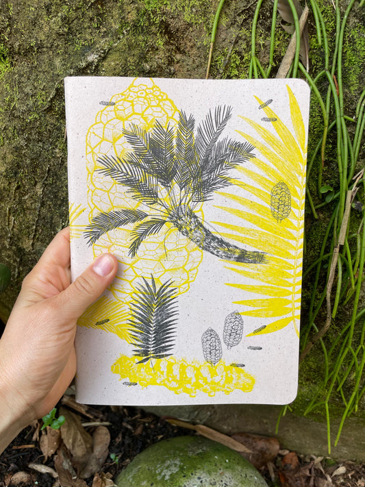 Libreta  Selviflora • Oruga Emaeus y Zamia