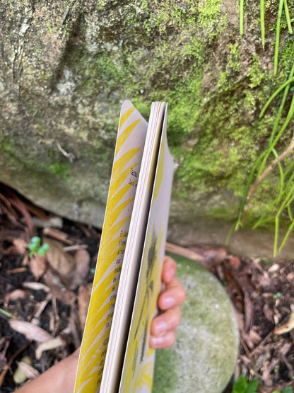 Libreta  Selviflora • Oruga Emaeus y Zamia