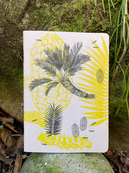 Libreta  Selviflora • Oruga Emaeus y Zamia