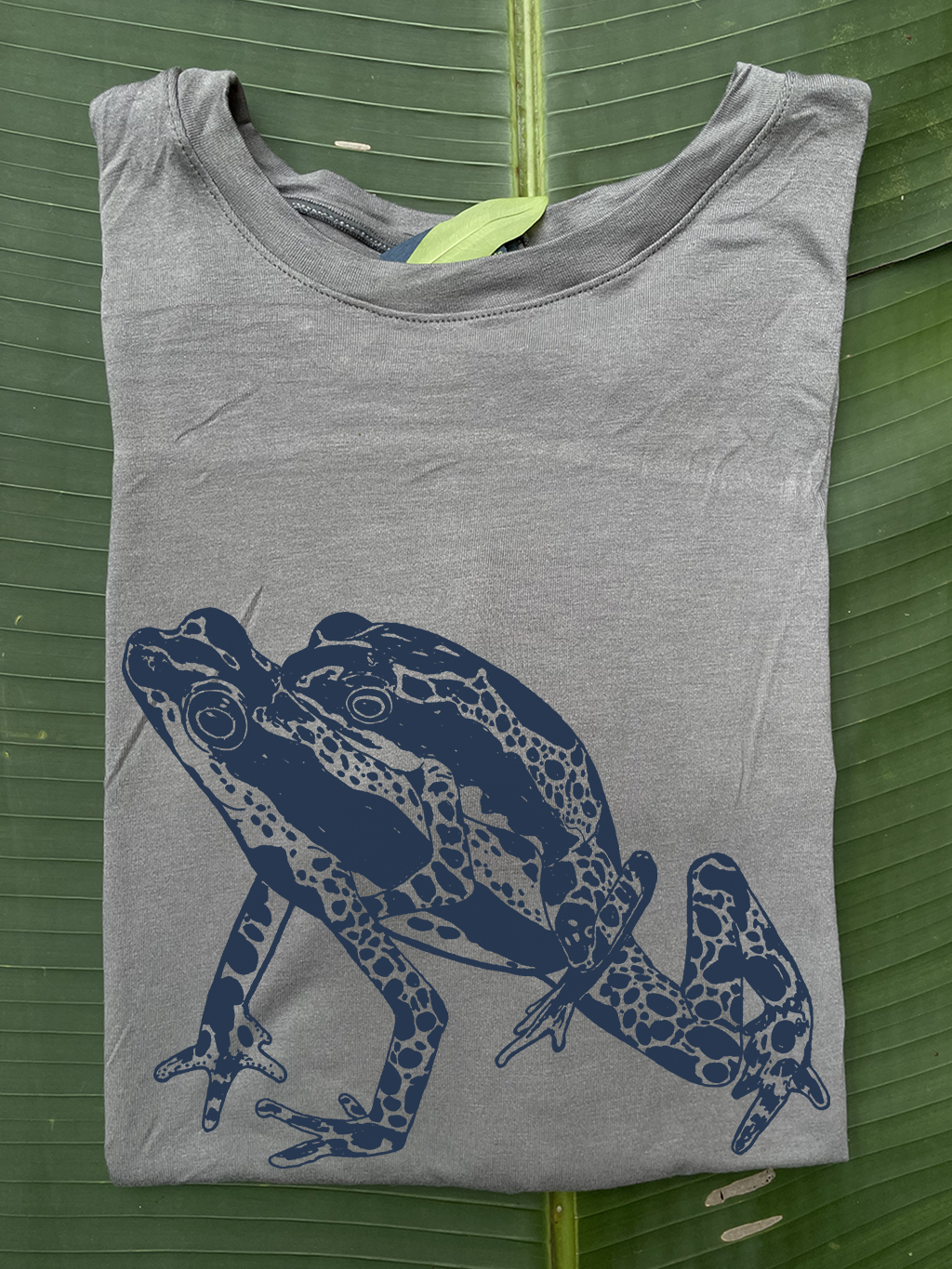 Camiseta Atelopus - Sapito de Manaus • Armonía • Vaporosas adultos