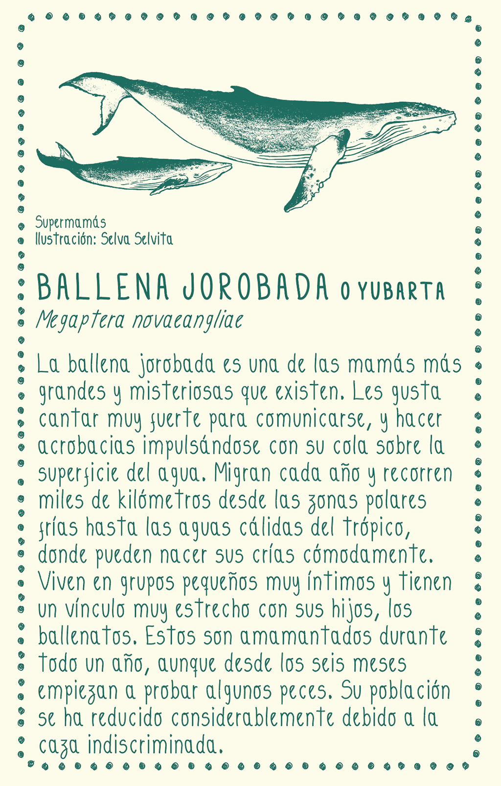 Camiseta Ballena jorobada • Armonía • Vaporosas adultos