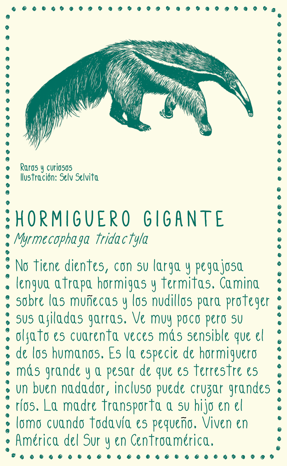 Camiseta Hormiguero gigante • Armonía • Vaporosas adultos