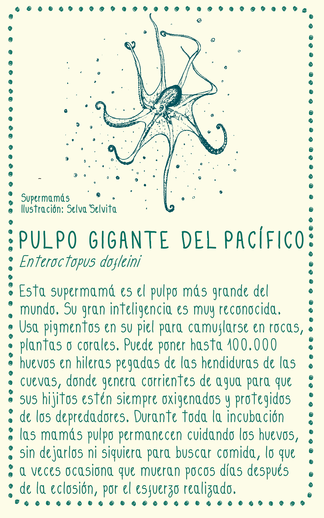 Camiseta Pulpo gigante • Infantil